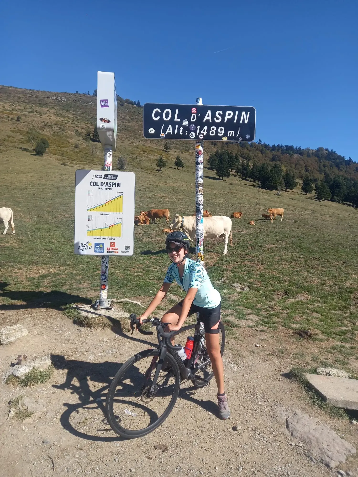 Cycliste souriante au sommet du Col d'Aspin (1489 m) dans les Pyrénées. La femme, portant un maillot bleu, se tient avec son vélo de route devant le panneau d'altitude officiel et un panneau descriptif détaillant le profil de l'ascension. En arrière-plan, des vaches Blondes d'Aquitaine en estive broutent sur les pentes herbeuses sous un ciel bleu clair.